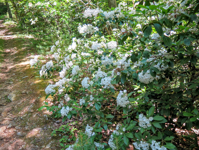 Picture 40 of Jacob Fork Rim Hike 060416