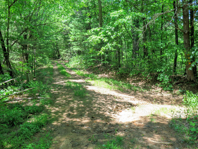 Picture 44 of Jacob Fork Rim Hike 060416