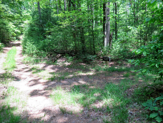 Picture 46 of Jacob Fork Rim Hike 060416