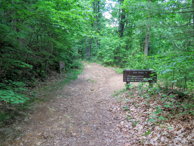 Picture 48 of Jacob Fork Rim Hike 060416