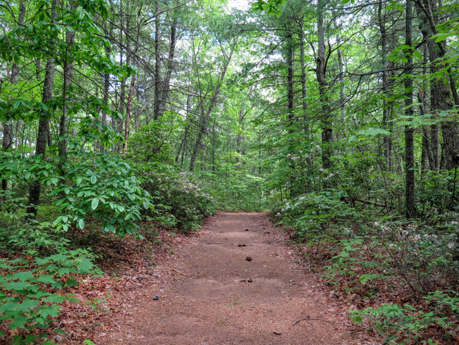 Picture 49 of Jacob Fork Rim Hike 060416