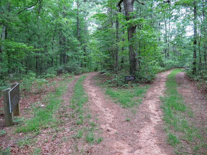 Picture 50 of Jacob Fork Rim Hike 060416