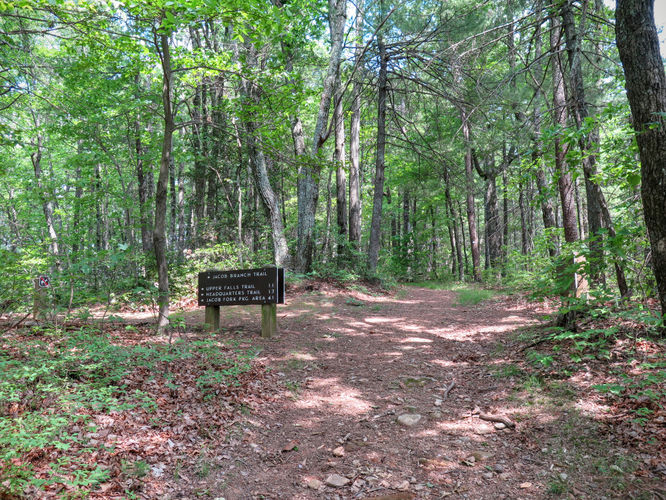 Picture 53 of Jacob Fork Rim Hike 060416