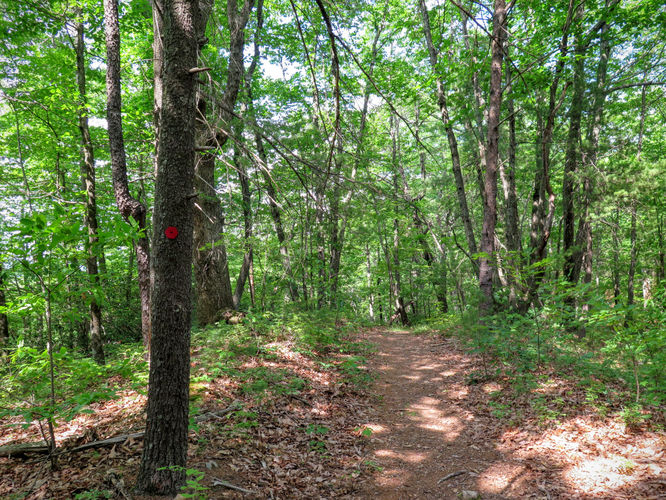 Picture 54 of Jacob Fork Rim Hike 060416