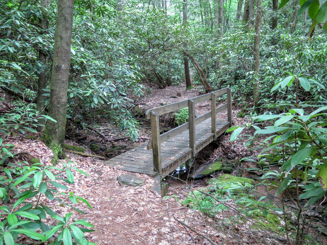 Picture 55 of Jacob Fork Rim Hike 060416