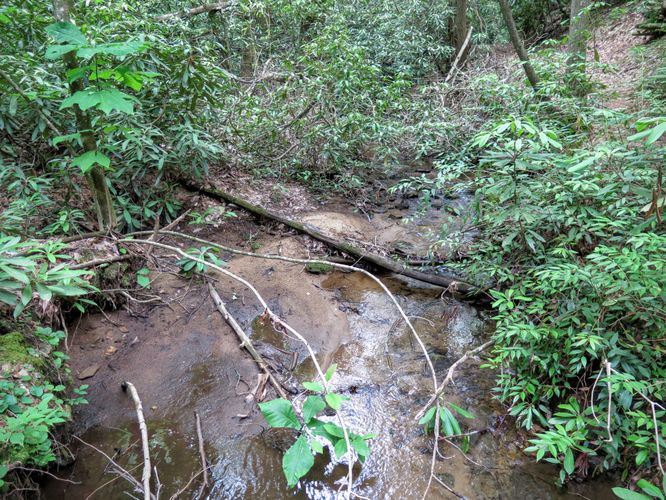 Picture 57 of Jacob Fork Rim Hike 060416