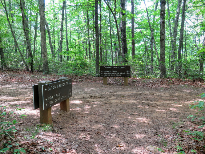 Picture 58 of Jacob Fork Rim Hike 060416
