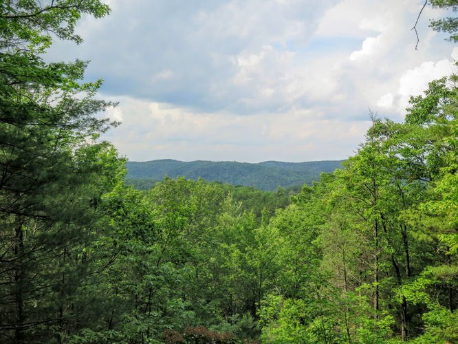 Picture 60 of Jacob Fork Rim Hike 060416
