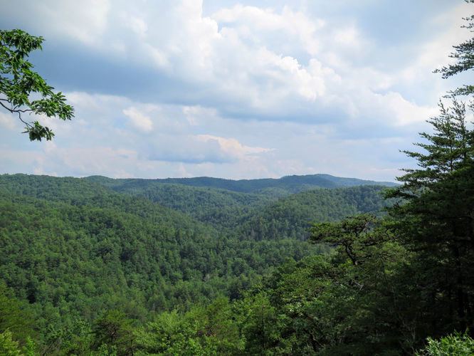 Picture 61 of Jacob Fork Rim Hike 060416