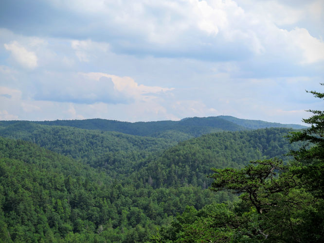 Picture 62 of Jacob Fork Rim Hike 060416