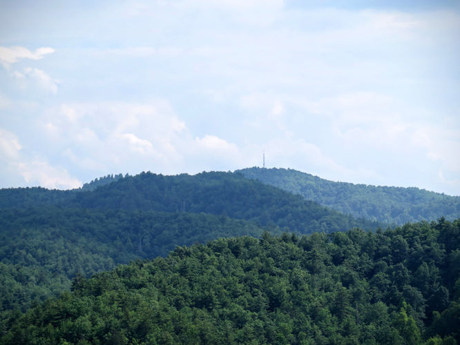 Picture 64 of Jacob Fork Rim Hike 060416