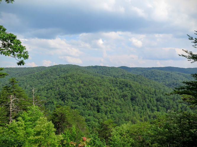 Picture 65 of Jacob Fork Rim Hike 060416