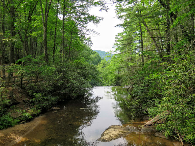 Picture 69 of Jacob Fork Rim Hike 060416