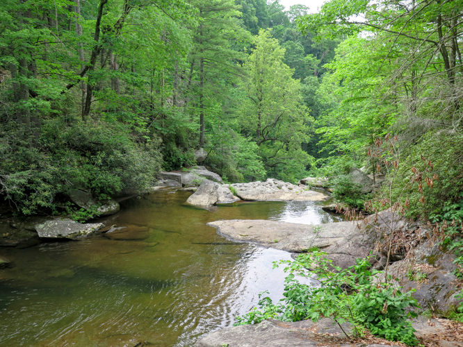 Picture 70 of Jacob Fork Rim Hike 060416