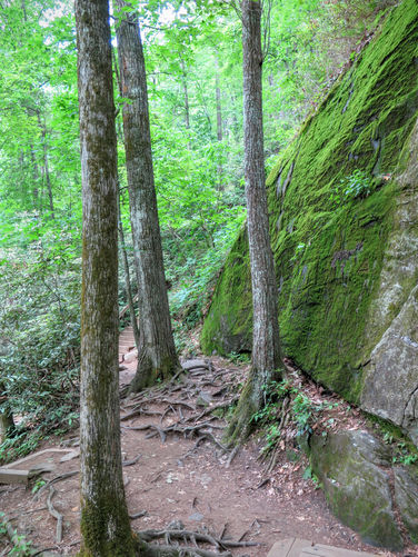 Picture 75 of Jacob Fork Rim Hike 060416