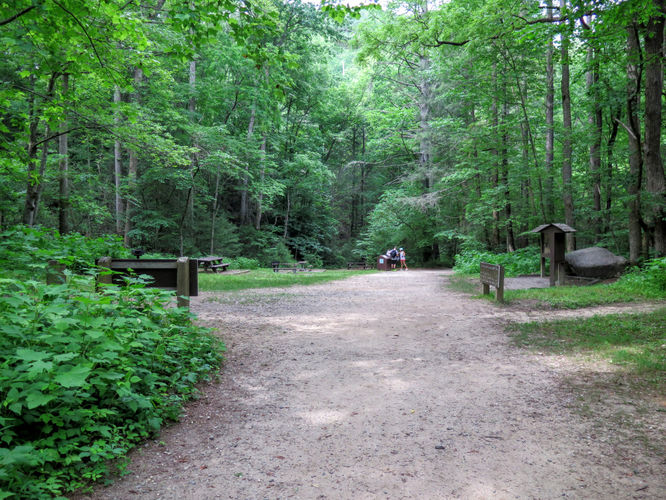 Picture 79 of Jacob Fork Rim Hike 060416