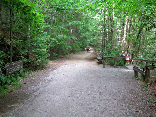 Picture 80 of Jacob Fork Rim Hike 060416