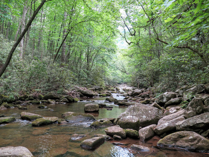 Picture 81 of Jacob Fork Rim Hike 060416