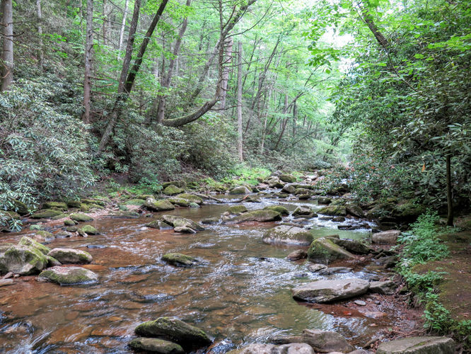 Picture 84 of Jacob Fork Rim Hike 060416