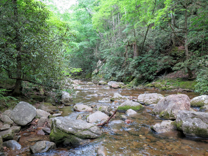 Picture 85 of Jacob Fork Rim Hike 060416
