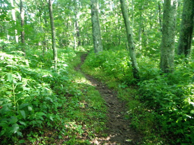 Picture 3 of James River Face Wilderness Hike 070713