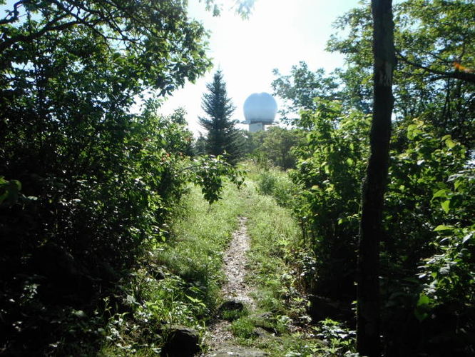 Picture 5 of James River Face Wilderness Hike 070713