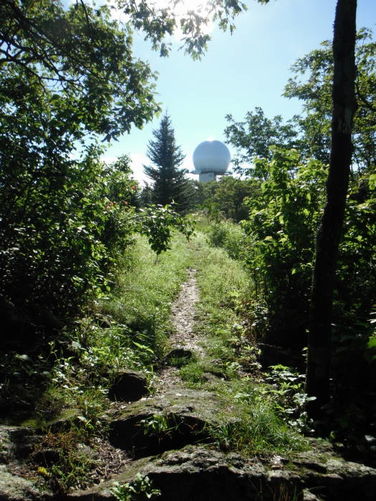 Picture 6 of James River Face Wilderness Hike 070713