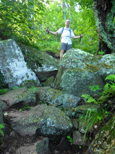 Picture 10 of James River Face Wilderness Hike 070713