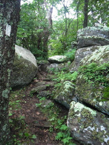 Picture 18 of James River Face Wilderness Hike 070713
