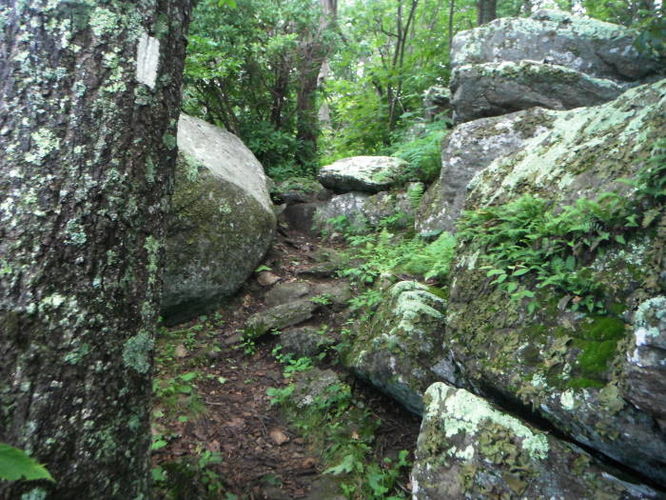 Picture 19 of James River Face Wilderness Hike 070713