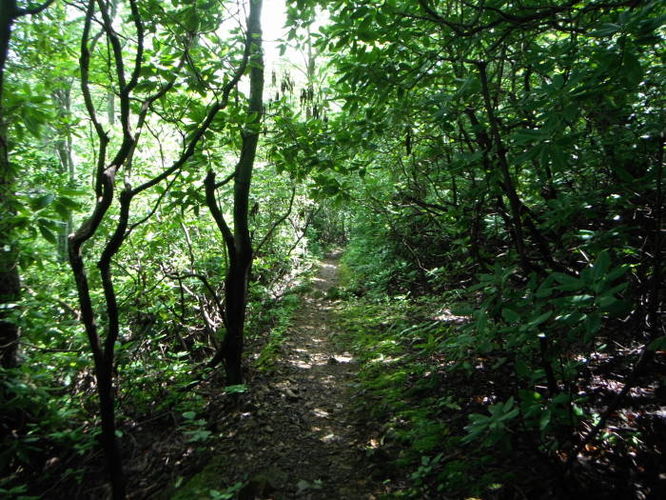 Picture 25 of James River Face Wilderness Hike 070713