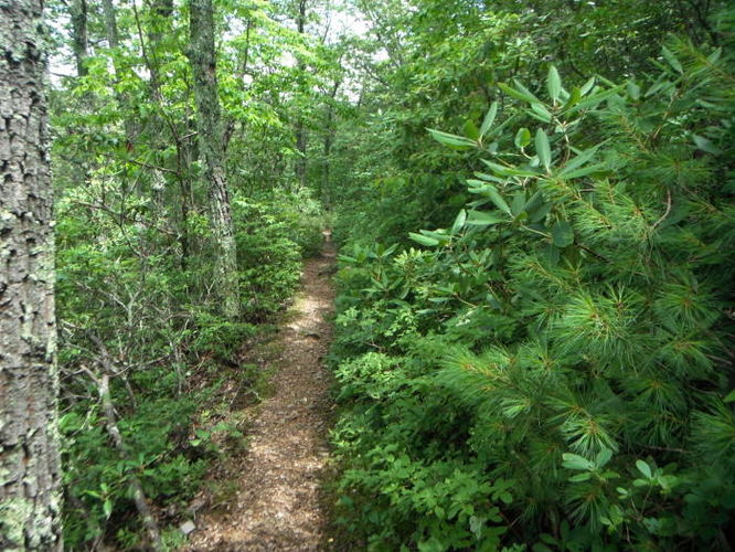 Picture 29 of James River Face Wilderness Hike 070713