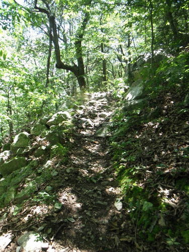Picture 31 of James River Face Wilderness Hike 070713