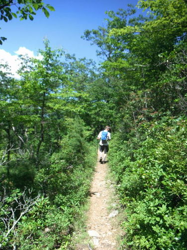 Picture 32 of James River Face Wilderness Hike 070713