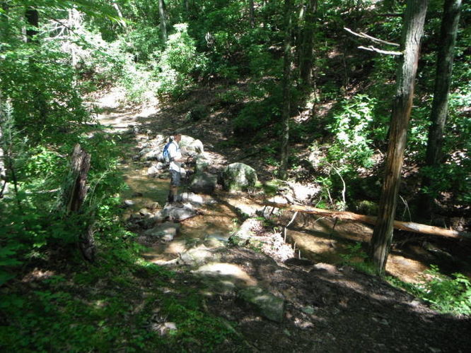 Picture 34 of James River Face Wilderness Hike 070713