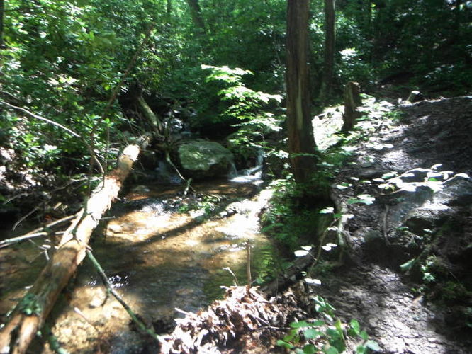 Picture 35 of James River Face Wilderness Hike 070713