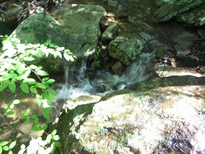 Picture 37 of James River Face Wilderness Hike 070713