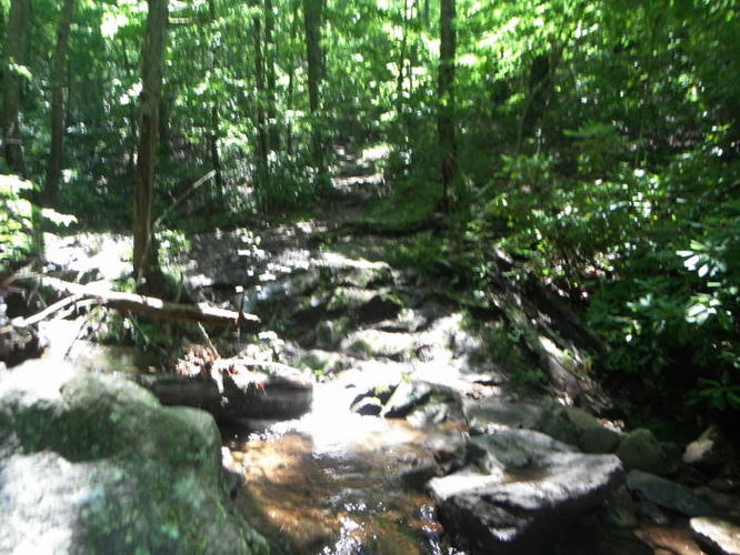 Picture 38 of James River Face Wilderness Hike 070713