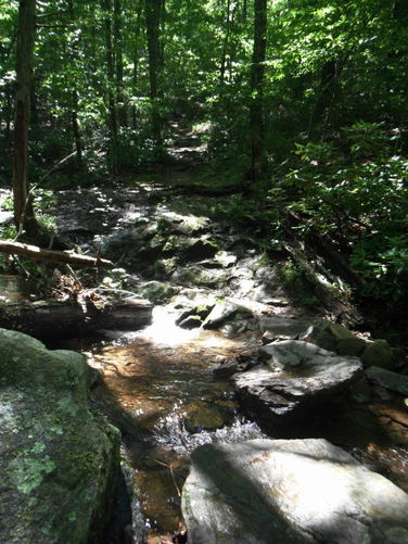 Picture 39 of James River Face Wilderness Hike 070713