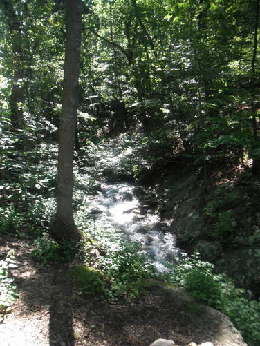 Picture 47 of James River Face Wilderness Hike 070713