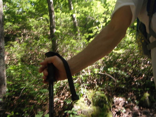 Picture 50 of James River Face Wilderness Hike 070713