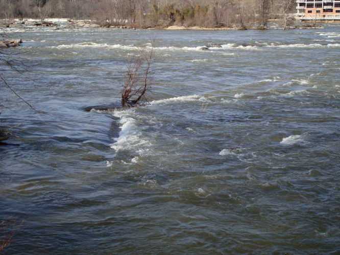 Picture 6 of James River Hike 010210