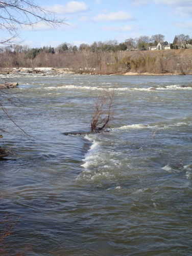 Picture 7 of James River Hike 010210