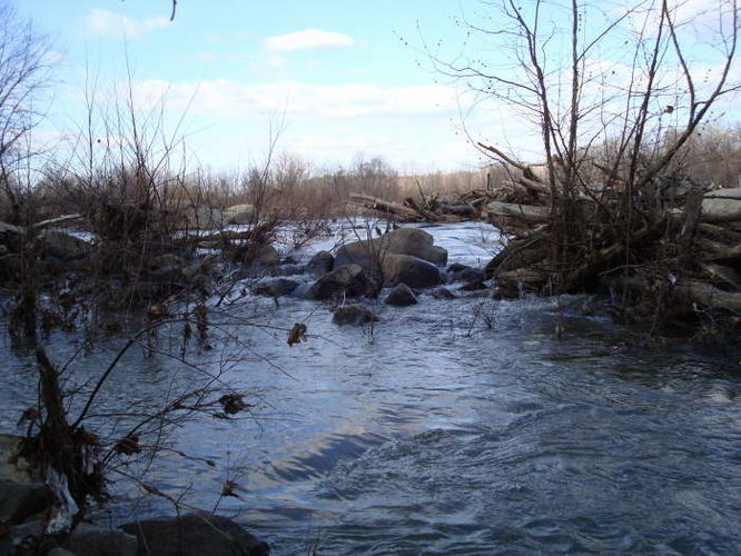 Picture 13 of James River Hike 010210