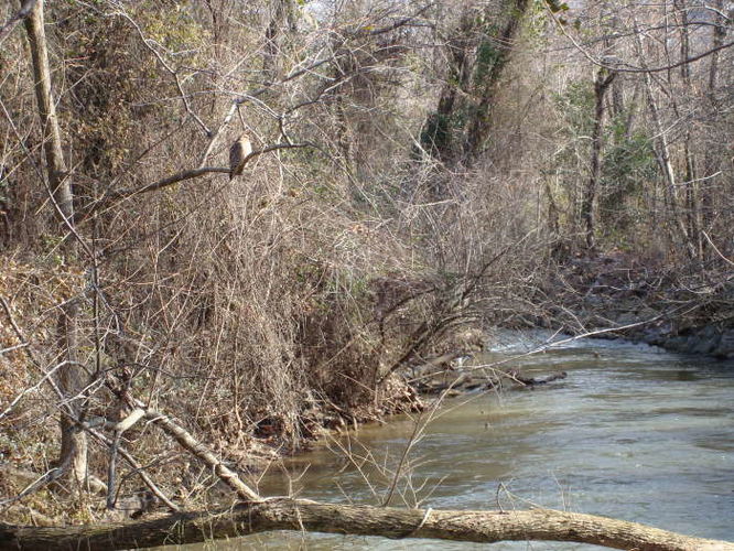 Picture 16 of James River Hike 010210