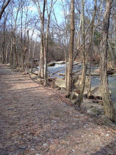 Picture 20 of James River Hike 010210