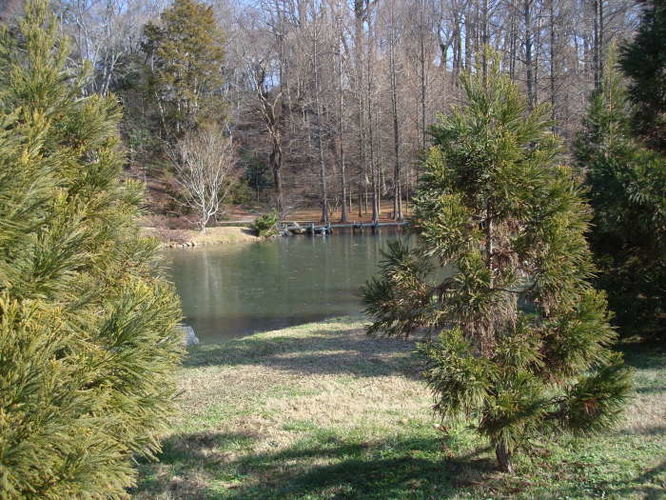 Picture 30 of James River Hike 010210