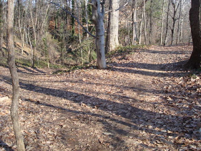 Picture 32 of James River Hike 010210