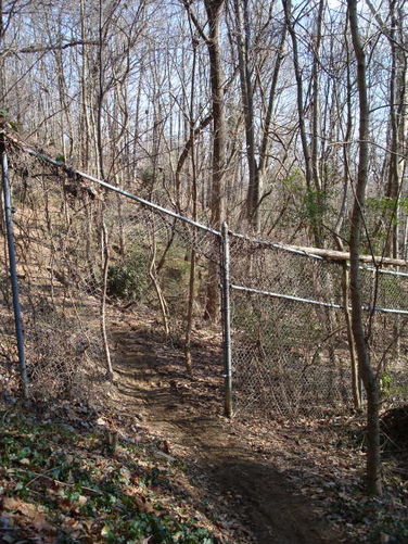 Picture 34 of James River Hike 010210