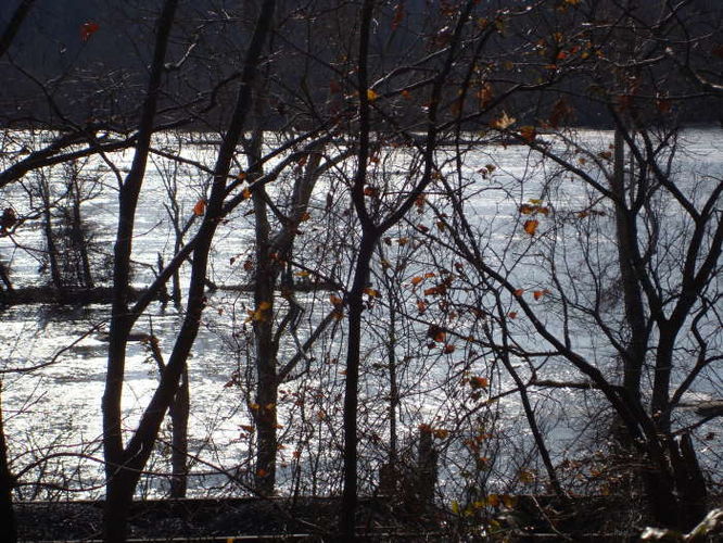 Picture 38 of James River Hike 010210